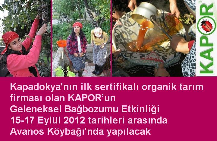 KAPOR’un Geleneksel Bağbozumu Etkinliği eylülde Avanos’ta yapılacak