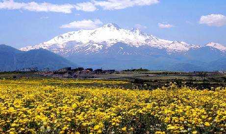 Kayseri Erciyes’teki otel arsalarından birini Dinler Turizm satın aldı