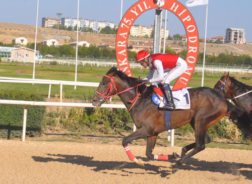 Kapadokya Koşusu yapıldı