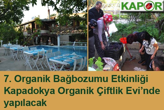 7. Organik Bağbozumu Etkinliği Kapadokya Organik Çiftlik Evi’nde yapılacak