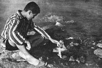 Termal suda patates haşlayan bir çocuk / Kozaklı, 1988
